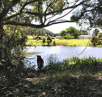 Newry Park Cottage - Accommodation Mooloolaba