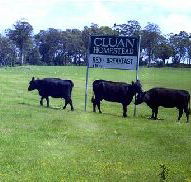Cluan Homestead - The Managers Residence - Accommodation Mooloolaba