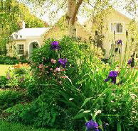 Panshanger - Accommodation Mooloolaba