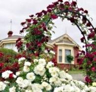 Golden Embers Apartments and B and B - Accommodation Mooloolaba
