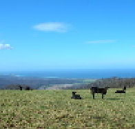 St Marys Seaview Farm - Accommodation Mooloolaba