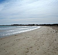 Greens Beach Caravan Park - Accommodation Mooloolaba