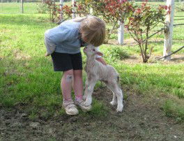 Taras Richmond Farmstay - Accommodation Mooloolaba 3