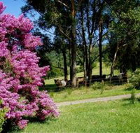 Figlea Cottages - Accommodation Mooloolaba