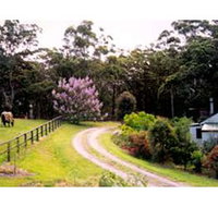 Bundara Farm Cottages - Accommodation Mooloolaba