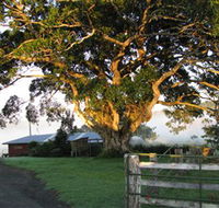 Arley Farm The Old Dairy - Accommodation Mooloolaba