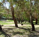 Woods Reserve - Accommodation Mooloolaba