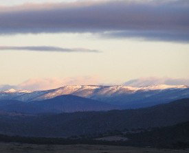 Snowy View Cottage - Accommodation Mooloolaba 2