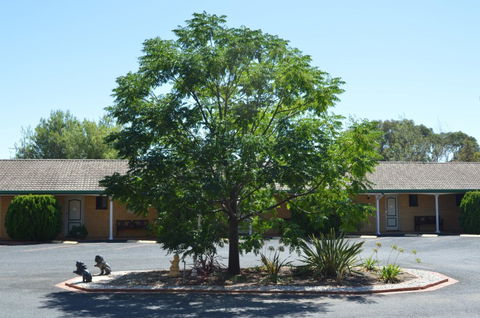 Hilltops Retreat Motor Inn - Accommodation Mooloolaba 6