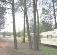 The Kelpie Caravan Park - Accommodation Mooloolaba