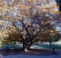 Hillview Oak Bed and Breakfast - Accommodation Mooloolaba