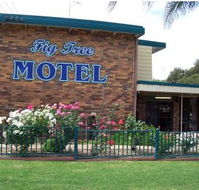Fig Tree Motel - Accommodation Mooloolaba