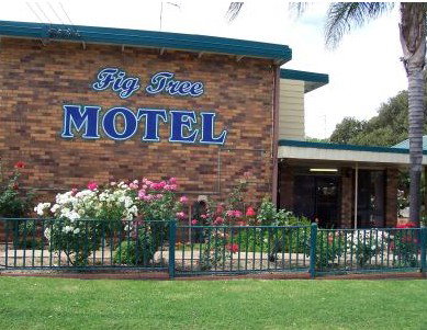 Fig Tree Motel - Accommodation Mooloolaba 0