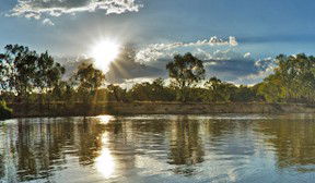 Club Motor Inn Narrandera - Accommodation Mooloolaba 3