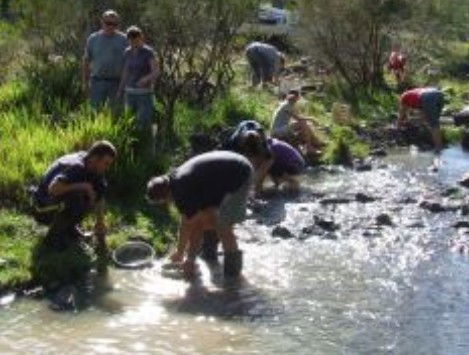 Bullock Mountain Homestead - Accommodation Mooloolaba 1