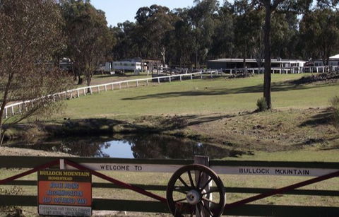 Bullock Mountain Homestead - Accommodation Mooloolaba 4