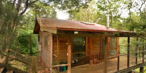 Bluegums Cabins - Accommodation Mooloolaba 1