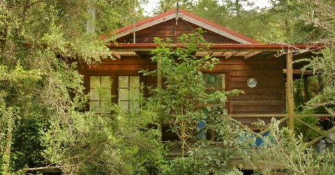 Bluegums Cabins - Accommodation Mooloolaba 2