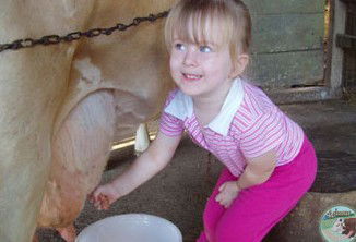 Ashmar Farm Stay - Accommodation Mooloolaba 5