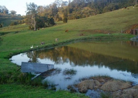 Barkeldine Farm Country Retreat - Accommodation Mooloolaba 0