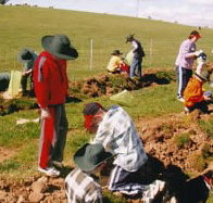 Banderra B and B Farmstay - Accommodation Mooloolaba