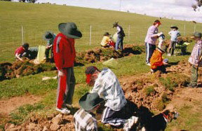 Banderra B And B Farmstay - Accommodation Mooloolaba 0