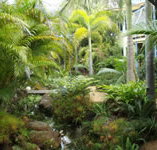 Chamomile Bed and Breakfast - Accommodation Mooloolaba