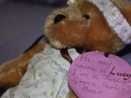 Twilight Grove Farm Bed And Breakfast  - Accommodation Mooloolaba 1