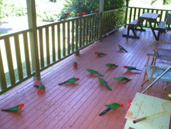 A Little Bit Of Heaven - Holiday Home - Accommodation Mooloolaba 8