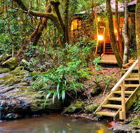 The Mouses House - Rainforest Retreat - Accommodation Mooloolaba