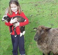 Cinnamon Coloureds Farmstay - Accommodation Mooloolaba