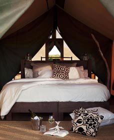 Sal Salis Ningaloo Reef - Accommodation Mooloolaba 0