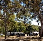 Barracrab Caravan Park - Accommodation Mooloolaba
