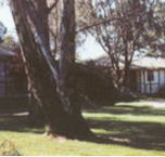 Winbi River Resort - Accommodation Mooloolaba
