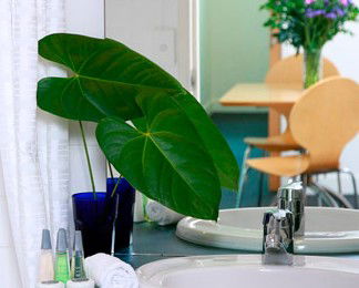 The Point Brisbane - Accommodation Mooloolaba 2