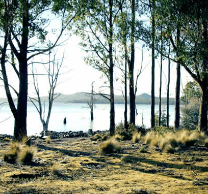 Blue Lake Lodge - Accommodation Mooloolaba 5