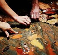 Daintree Eco Lodge And Spa - Accommodation Mooloolaba