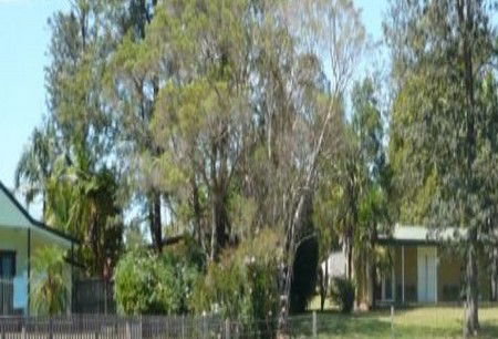 Nimbin NSW Accommodation Mooloolaba