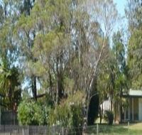 Nimbin Backpackers at Grannys Farm - Accommodation Mooloolaba