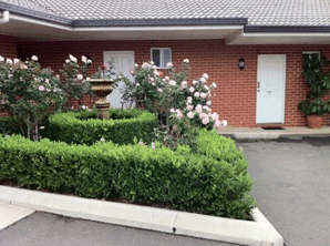 Akuna Motor Inn - Accommodation Mooloolaba 4