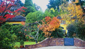 Moniques Bed And Breakfast - Accommodation Mooloolaba 3