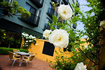 The Old Woolstore Apartment Hotel - Accommodation Mooloolaba 5