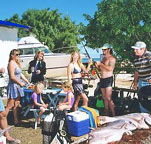 Shark Bay Cottages - Accommodation Mooloolaba