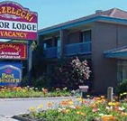 Strzelecki Motor Lodge - Accommodation Mooloolaba