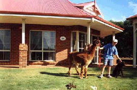  Accommodation Mooloolaba