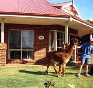 Brilea Cottages - Accommodation Mooloolaba