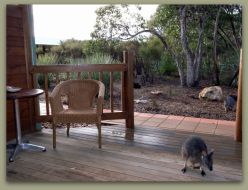 Kangaroo Island Wilderness Resort - Accommodation Mooloolaba 1