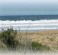 Mcgregors By The Bay - Accommodation Mooloolaba