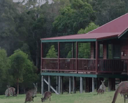 Walpole Wilderness Resort - Accommodation Mooloolaba