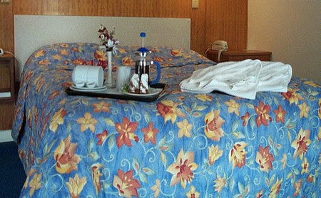 Bandicoot Motor Inn - Accommodation Mooloolaba 2